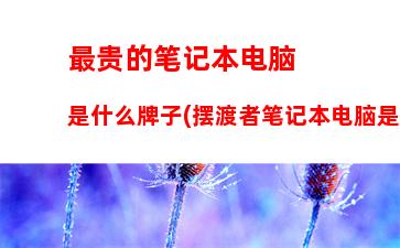 游戏本电脑质量十大排名(电脑十大射击游戏排行榜)