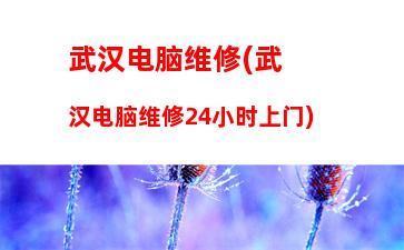 可用(0可用电源已接通未充电灯在闪烁)"