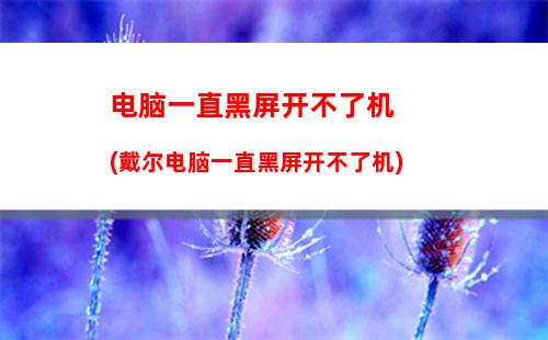 戴尔笔记本散热器(戴尔笔记本散热器推荐)