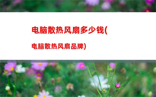 电脑师傅上门服务(电脑师傅上门服务开具发票要他本人签经手人吗)