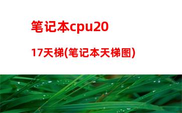 高档笔记本电脑排名榜(笔记本电脑寿命排名榜)