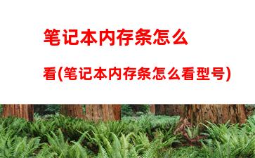 联想超薄笔记本电脑报价大全(联想小新超薄笔记本电脑)