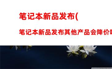 笔记本选购指南5000元左右(笔记本选购指南5000元左右配置方案)