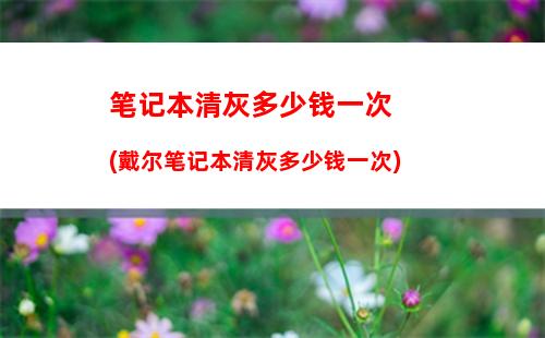 初学电脑0基础的应该怎么学(计算机培训短期速成班)