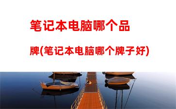 笔记本电脑哪家性价比高(笔记本电脑哪个品牌性价比最高)