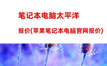 015玩游戏台式电脑推荐(玩游戏台式电脑哪个牌子好)"