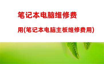 笔记本换个电池大概需要多少钱(笔记本有必要换电池吗)