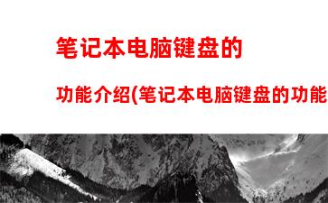 笔记本电脑2021排名前十的品牌(中国笔记本电脑排名前十的品牌)