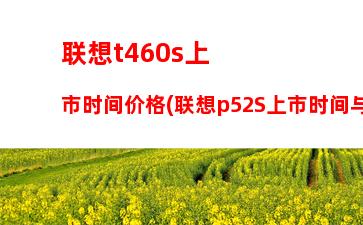 联想笔记本电脑无法启动(联想笔记本电脑无法启动出现正在诊断电脑)