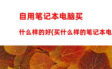 游戏本和轻薄本的区别(大学生一般买什么笔记本电脑)