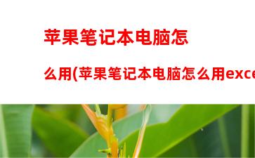 苹果笔记本性价比最高的一款(苹果笔记本官网)