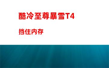 内存条京东贵(京东内存条拆过包装可以退么)