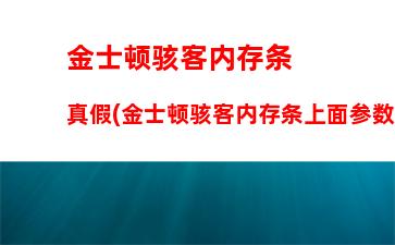 金士顿内存4g多少钱(金士顿内存16g多少钱)