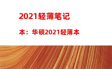 021轻薄笔记本：华硕2021轻薄本"