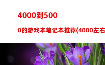 000到5000的游戏本笔记本推荐(4000左右的游戏本电脑性价比排行)"