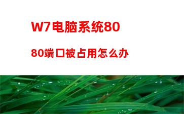 W7系统看视频时突然出现watchdog.sys蓝屏