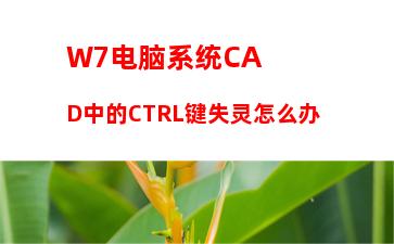 W7电脑系统收藏夹不能用不能创建收藏怎么办