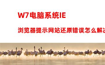 W7电脑系统IE浏览器提示网站还原错误怎么解决