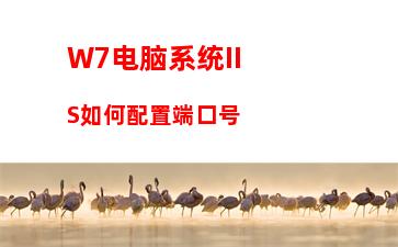 W7电脑系统谷歌浏览器提示您的连接不是私密连接怎么办