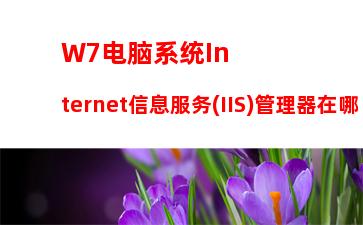 W7电脑系统Internet信息服务(IIS)管理器在哪