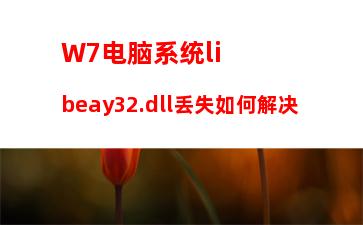 W7电脑系统libeay32.dll丢失如何解决