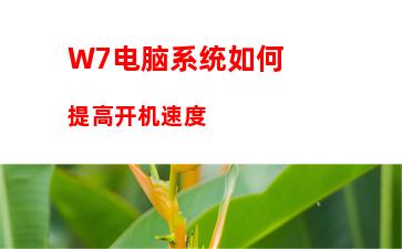 W7电脑系统提示本地连接未启用DHCP怎么办