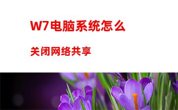 W7电脑系统怎么关闭网络共享