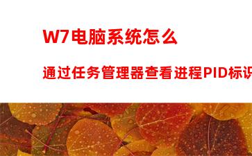 W7电脑系统怎么通过任务管理器查看进程PID标识符