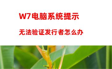 W7系统如何设置电脑为节能模式