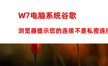 W7电脑系统谷歌浏览器提示您的连接不是私密连接怎么办