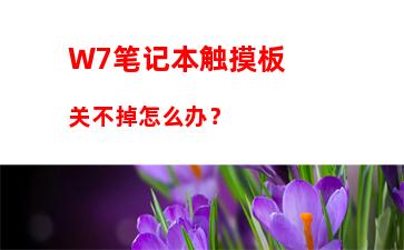 W7笔记本触摸板关不掉怎么办？