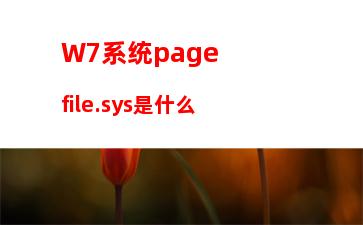 W7系统pagefile.sys是什么