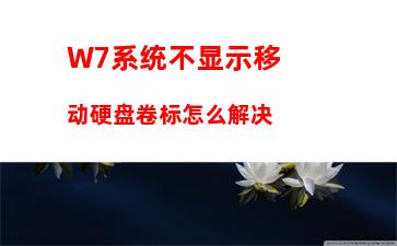 W7系统不显示移动硬盘卷标怎么解决