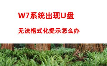 W7系统出现U盘无法格式化提示怎么办