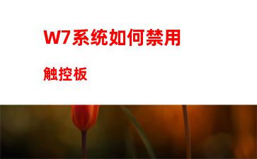 W7电脑系统运行软件报错应用程序未能正常启动0xc000000d怎么解决？