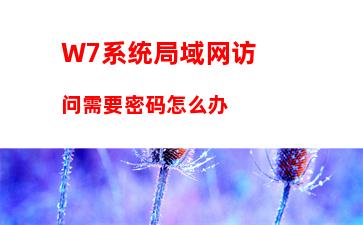 W7系统局域网访问需要密码怎么办