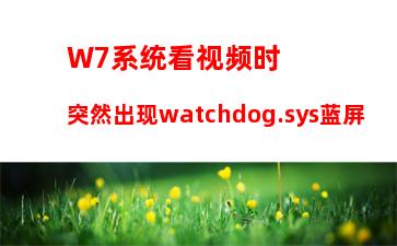 W7系统看视频时突然出现watchdog.sys蓝屏