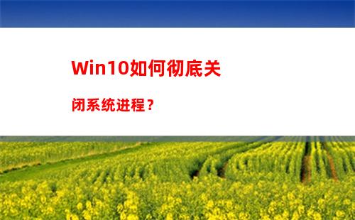 Win10如何彻底关闭系统进程？