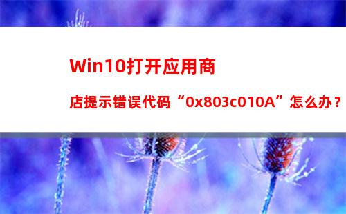 Win10打开应用商店提示错误代码“0x803c010A”怎么办？