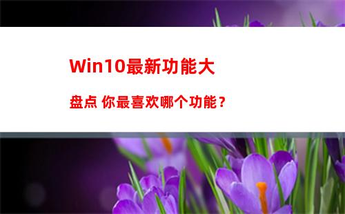 Win10家庭版和专业版的区别在哪？Win10专业版好还是家庭版好？