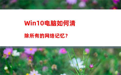 Win10电脑如何清除所有的网络记忆？