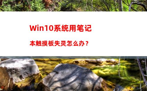 Win10搜索框无法使用怎么办？Win10搜索栏用不了的解决办法