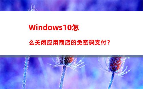 Windows10怎么关闭应用商店的免密码支付？