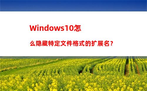 Windows10怎么隐藏特定文件格式的扩展名？