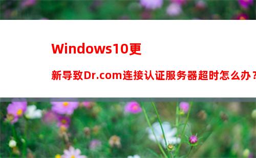 Windows10更新导致Dr.com连接认证服务器超时怎么办？