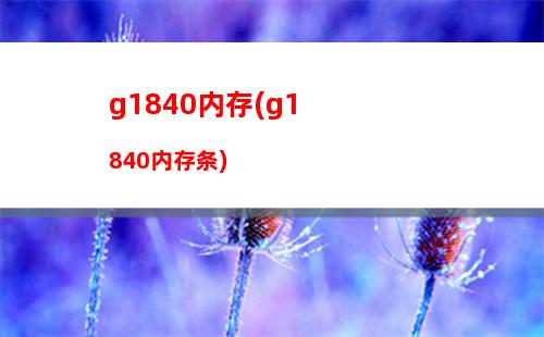 g3240h81显卡