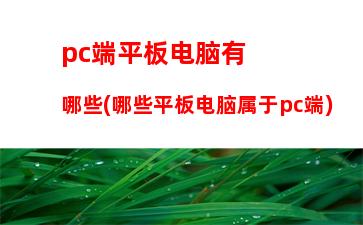 pc端平板电脑有哪些(哪些平板电脑属于pc端)