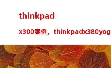 thinkpadx300案例，thinkpadx380yoga