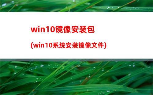 Win10系统如何禁止IE浏览器运行？