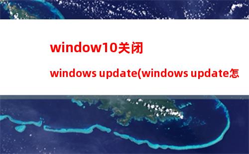 window10关闭windows update(windows update怎样关闭)